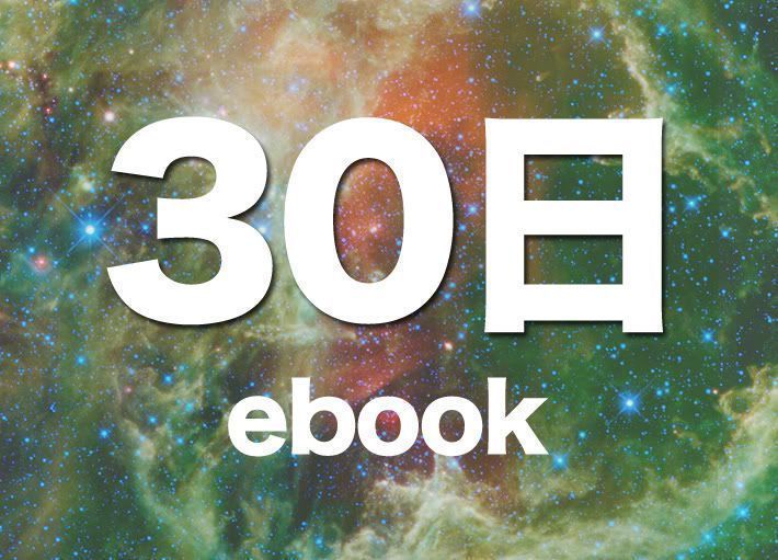 30日 ebook de tofugu