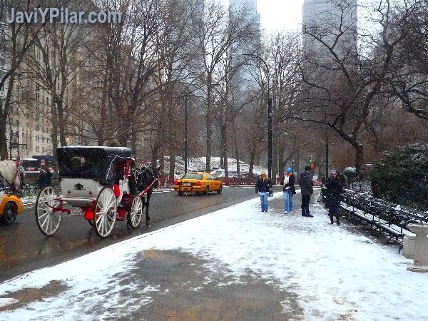 Calesas en Central Park nevado