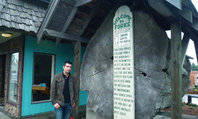 Enorme tronco centenario expuesto en el centro del pueblo de Forks (Washington)