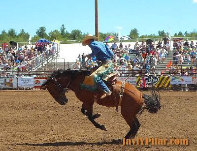 Rodeo en Payson (Arizona) en 2009