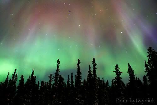 Aurora boreal vista desde el Yukón
