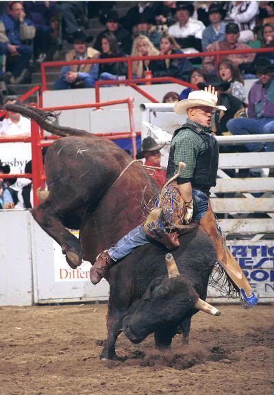 Montando al toro ("bull riding"), una de las pruebas estrella del rodeo