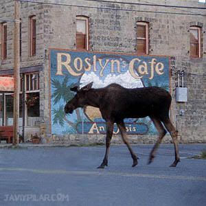 Roslyn Cafe. "Doctor en Alaska" ("Northern Exposure")