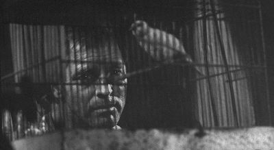 "El Hombre de Alcatraz" ("Birdman of Alcatraz", 1962)