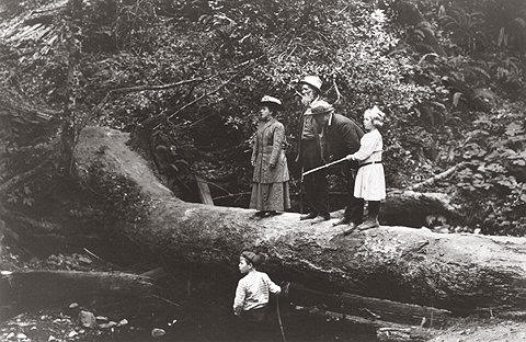 John Muir y unos amigos en Muir Woods (21 de agosto de 1909)