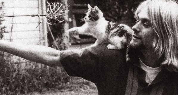Foto de Kurt Cobain jugando con su gato