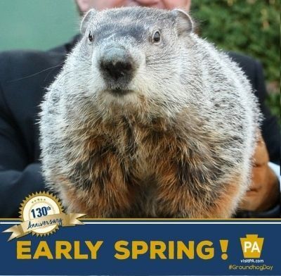 La marmota Phil predice la primavera. 2 de febrero de 2016