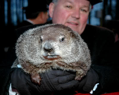 Punxsutawney Phil, la marmota meteoróloga 